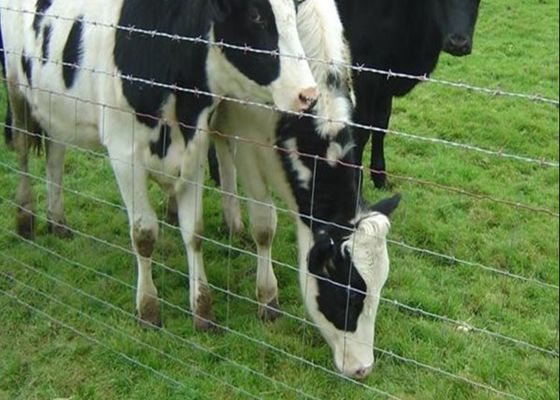 Galvanisierter Viehbestand verhindern Scharnier-gemeinsamen Seiten-Draht-Bauernhof-Feld-Zaun