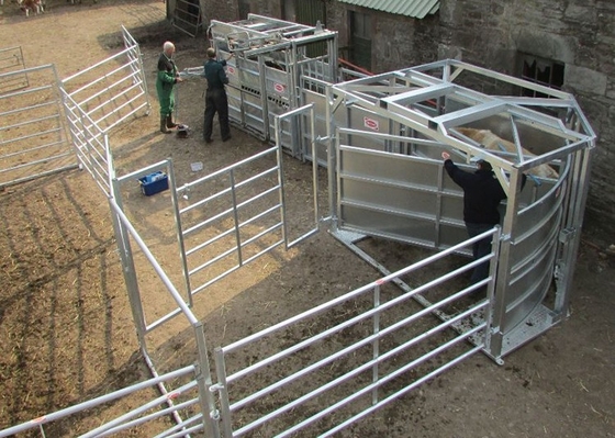 Höhen-Viehbestand-Zaun-Panels Metal Galvanized-Bauernhof-Tore der harten Beanspruchung 1.6m
